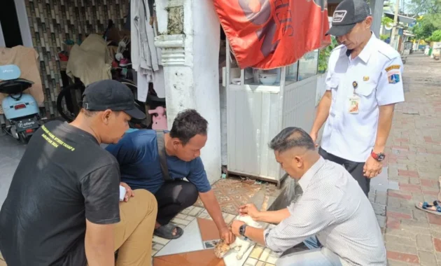 KPKP Kepulauan Seribu Cegah Penyebaran Rabies di Pulau Sabira