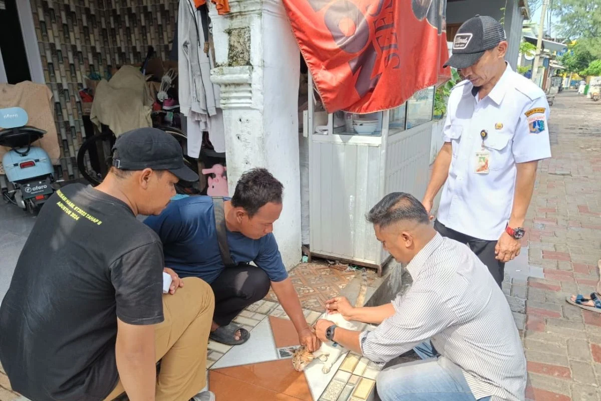 KPKP Kepulauan Seribu Cegah Penyebaran Rabies di Pulau Sabira