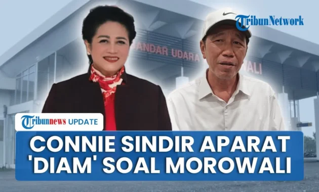 Kritisi Blanket Overflight, Connie Bakrie Tegaskan Negara Berdaulat atas Ruang Udara