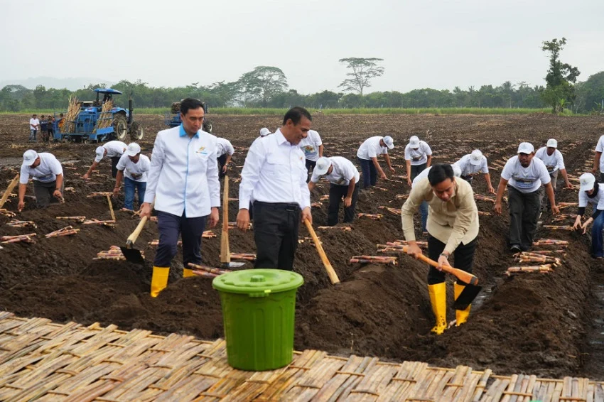 KSO Kebun Dhoho Kediri Siapkan Panen Tebu Besar-besaran untuk Capaian Swasembada Gula