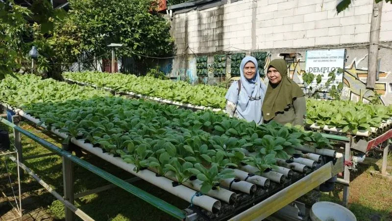 Legislator Tangerang Dorong Urban Farming untuk Perkuat Ketahanan Pangan