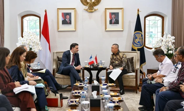 Lindungi UNIFIL, Pengamat Sarankan RI Gandeng Prancis ke DK PBB