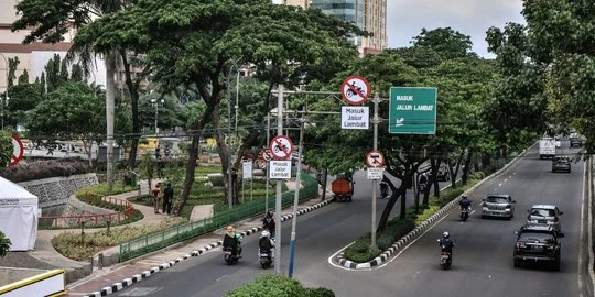 Luas Ruang Terbuka Hijau Jakarta Capai 3.703,56 Hektare, Kata Wakil Gubernur Rano Karno