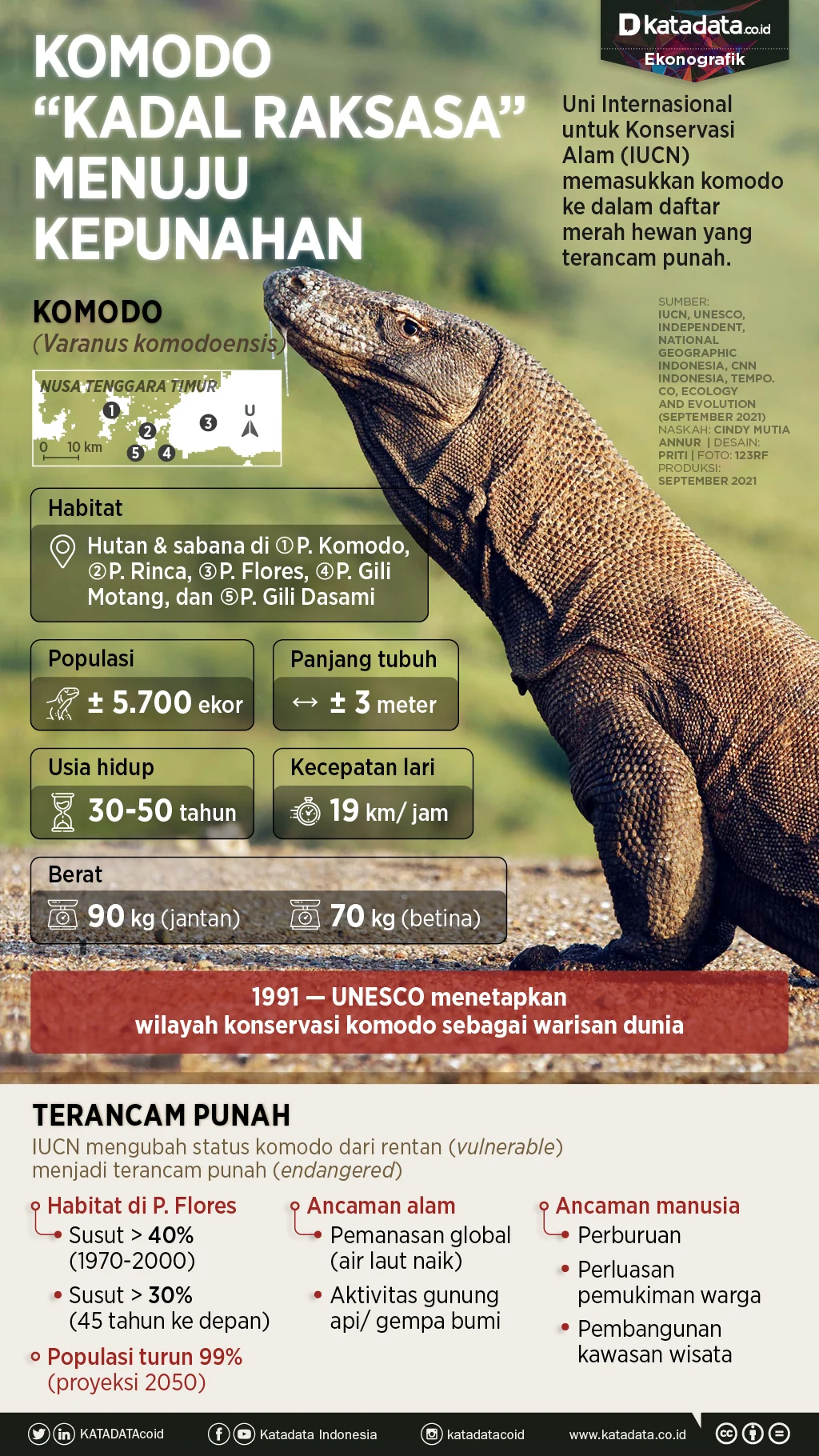 Mengapa Pemerintah Pinjamkan Sepasang Komodo ke Jepang? Fakta di Balik Program Breeding Loan