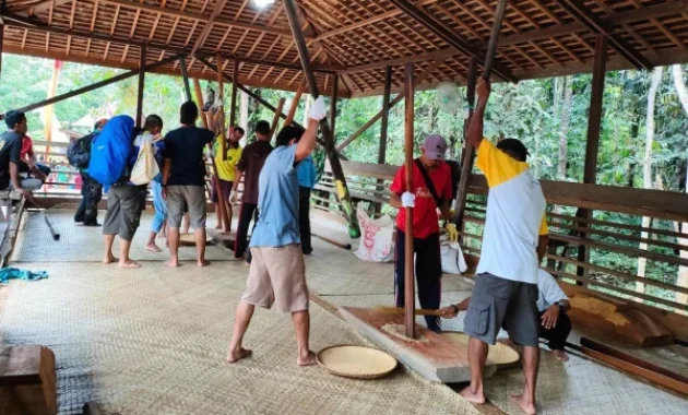 Menghormati Padi dengan Nutuk Beham, Perayaan Panen Tradisional Kutai Lawas