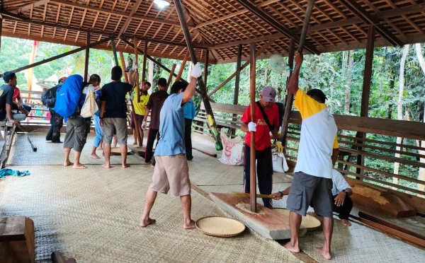 Menghormati Padi dengan Nutuk Beham, Perayaan Panen Tradisional Kutai Lawas