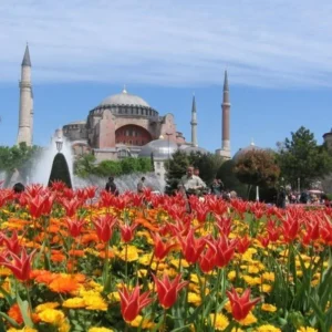 Mengunjungi Festival Bunga Tulip di Istanbul, Turki