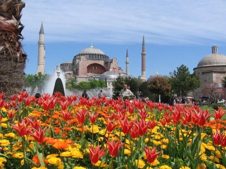 Mengunjungi Festival Bunga Tulip di Istanbul, Turki