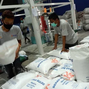 Mentan: Gudang beras Konawe Selatan disewa Bulog bukti produksi naik