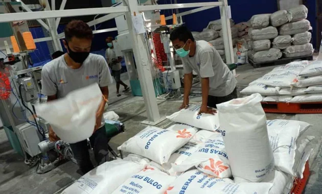 Mentan: Gudang beras Konawe Selatan disewa Bulog bukti produksi naik