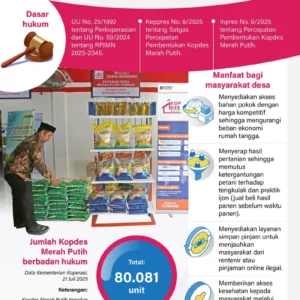 Mentan Proyeksikan Kopdes Merah Putih Dapat Margin Rp 50 T, Pengamat: Boleh-Boleh Saja Angka Itu Digunakan, Namanya Doa