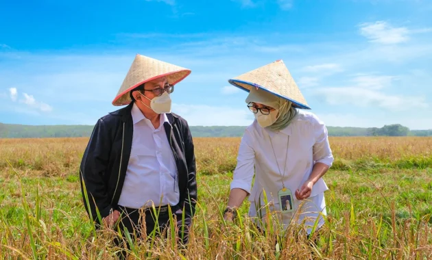 Menteri Pertanian dan Wakil Direktur Bulog Cek Pasokan Beras di Makassar Mengantisipasi El Nino