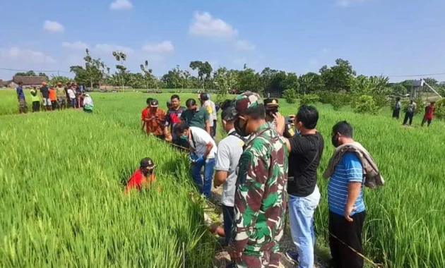 Misteri Hilangnya Petani Pekalongan: Ditemukan Lemas 7 km dari Sawah, 6 Fakta Mengejutkan yang Harus Kamu Tahu