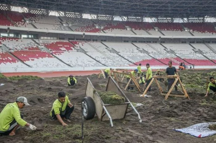 Momen Epik: Dari Ring Gulat ke Lapangan Rumput, Kejuaraan 2026 Menggebrak Dunia Olahraga