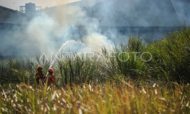 Musim Kemarau 2026: Ancaman Panas, Kebakaran, dan Tantangan Kota Besar