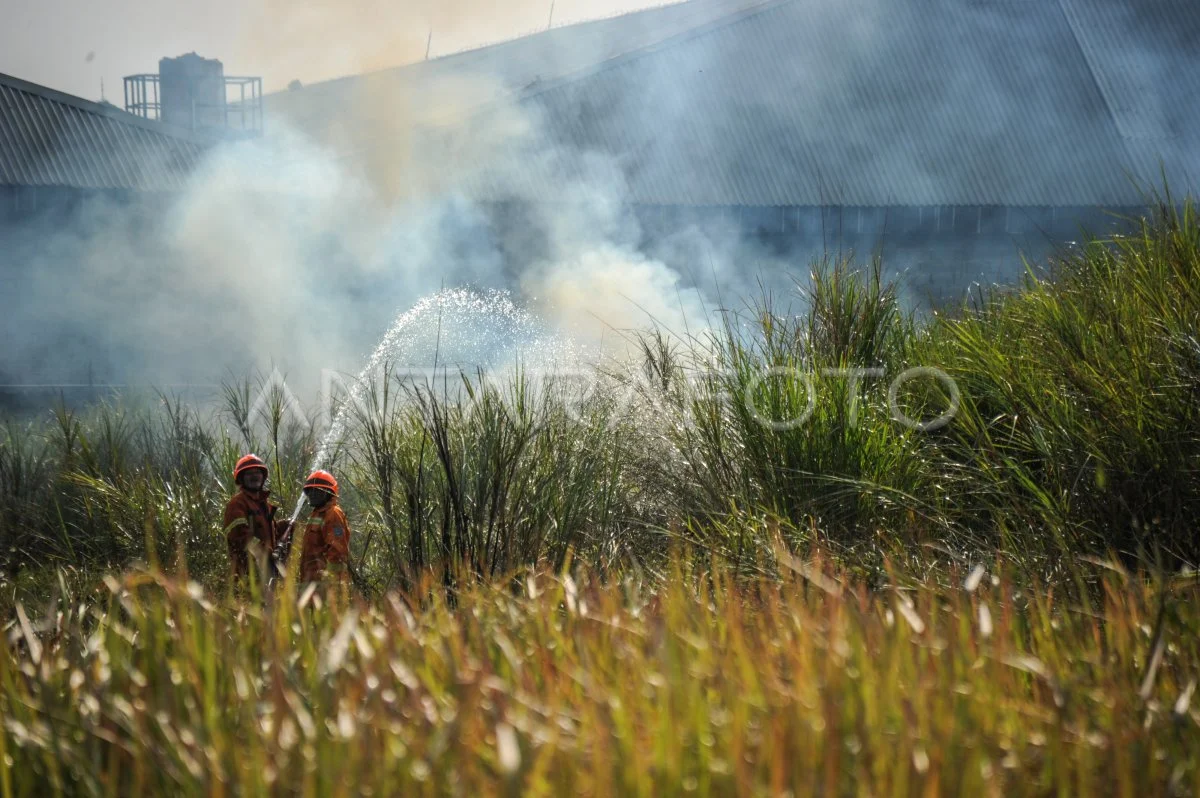 Musim Kemarau 2026: Ancaman Panas, Kebakaran, dan Tantangan Kota Besar