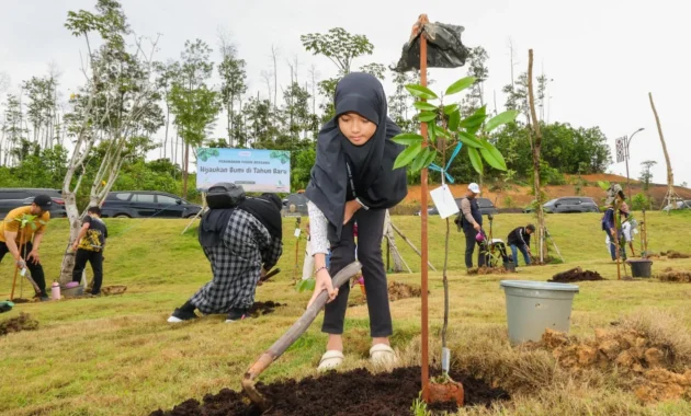 Otorita IKN Gencar Jaga Hutan, Tanam 100 Pohon, Tapi Tantangan Ilegalitas dan Penertiban Tetap Menyengat
