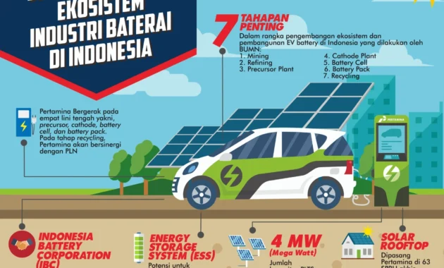 Pakar: Perlu ada penyeragaman insentif untuk EV di setiap daerah Pakar: Perlu ada penyeragaman insentif untuk EV di setiap daerah