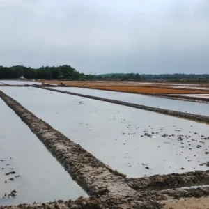 Pancaroba 2026: Hujan Deras, Petani Garam, dan Ancaman Badai di Seluruh Nusantara