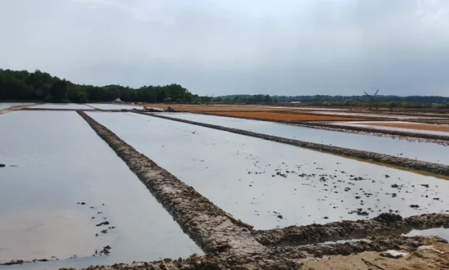 Pancaroba 2026: Hujan Deras, Petani Garam, dan Ancaman Badai di Seluruh Nusantara