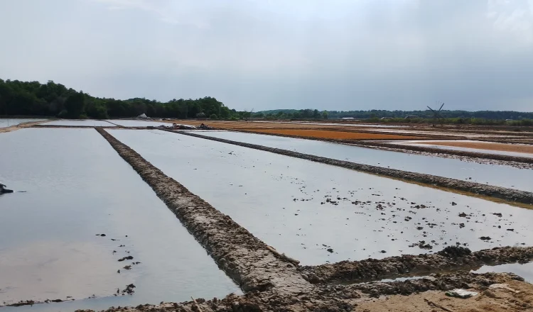 Pancaroba 2026: Hujan Deras, Petani Garam, dan Ancaman Badai di Seluruh Nusantara