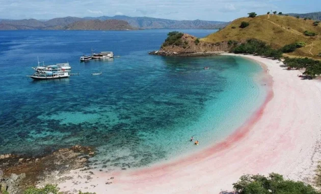 Pantai Pink Lombok Jadi Magnet Baru, Mirip Spot Foto SZA di Cover Album 'SOS'