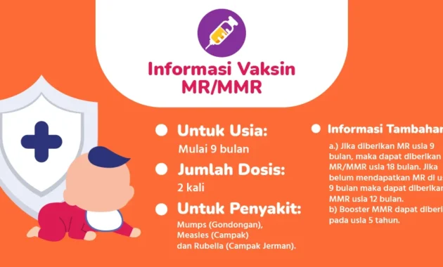 PAPDI: Vaksin MMR Bisa Diberikan pada Lansia dengan Kondisi Tertentu