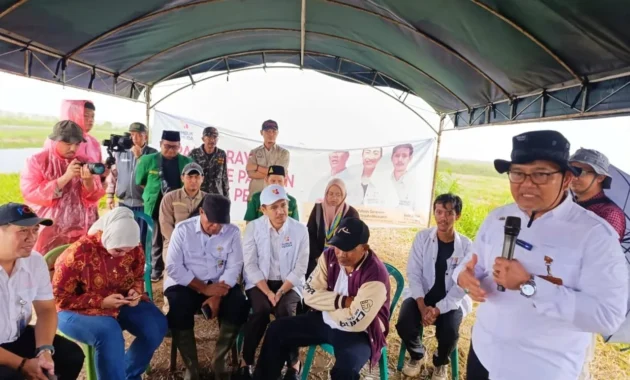 Papua Genjot Swasembada Beras untuk Sejahterakan Petani