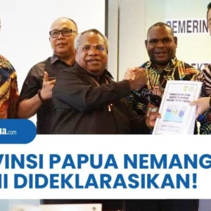 Papua Nemangkawi: Satu Kabupaten, Harapan Menjadi Provinsi Baru di Tengah Tantangan Otsus