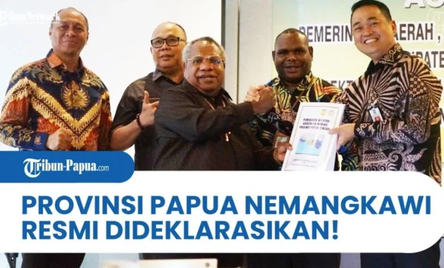 Papua Nemangkawi: Satu Kabupaten, Harapan Menjadi Provinsi Baru di Tengah Tantangan Otsus