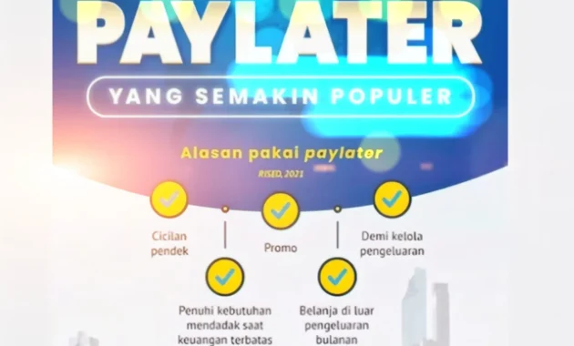 Paylater Kian Digemari, Antara Kemudahan Transaksi dan Risiko Finansial
