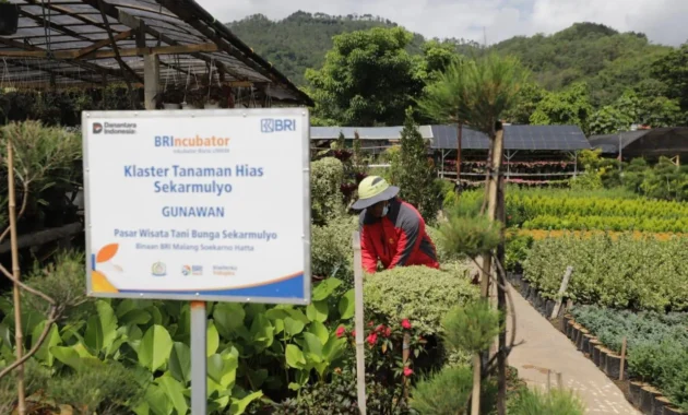 Pembiayaan Mikro Tembus Rp 6 Triliun, Perkuat Daya Tahan Ekonomi Rumah Tangga dan UMKM