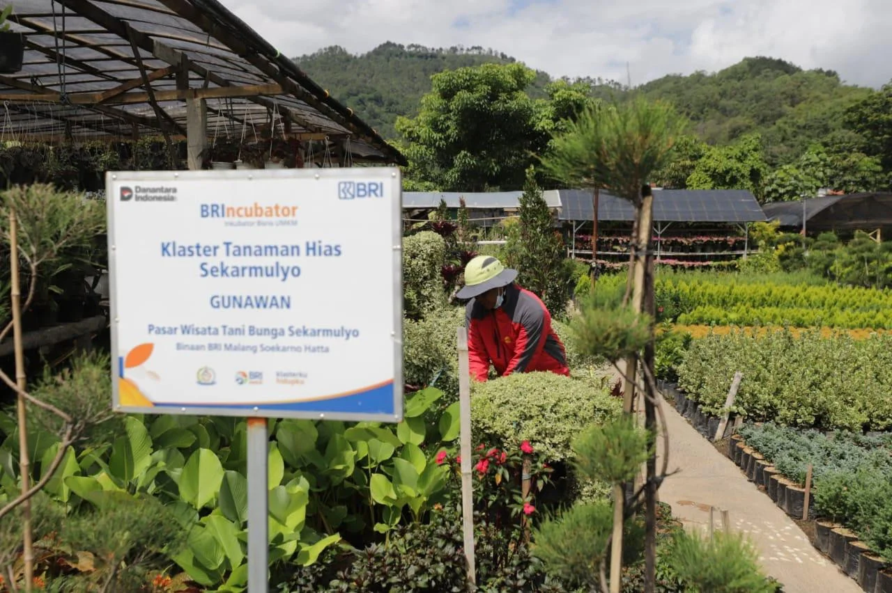 Pembiayaan Mikro Tembus Rp 6 Triliun, Perkuat Daya Tahan Ekonomi Rumah Tangga dan UMKM