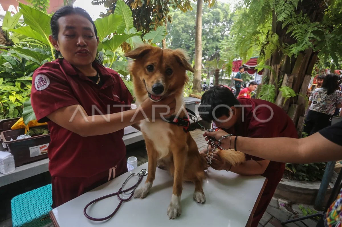Pemeriksaan Kesehatan Hewan dan Vaksin Rabies Gratis di Kabupaten Bogor