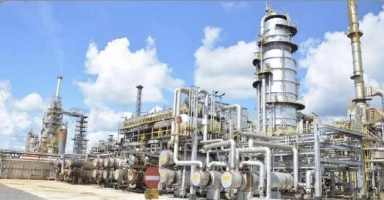 Pemerintah Bebaskan Bea Masuk LPG dan Bahan Baku Plastik Selama 6 Bulan