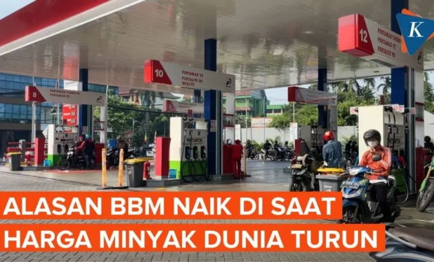 Pemerintah Diminta Hati-hati Atur Harga BBM, LPG, dan Minyak Goreng di Tengah Geopolitik Global