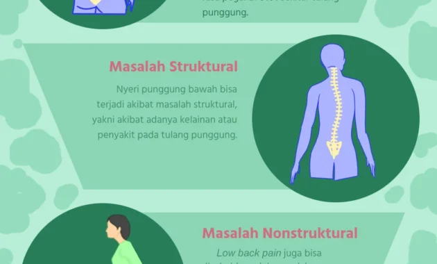 Perbedaan Nyeri Punggung yang Diakibatkan oleh Aktivitas dan Ginjal