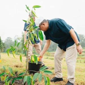 Perkuat Komitmen Lingkungan, Palmco Taman 50.000 Pohon Sepanjang 2026