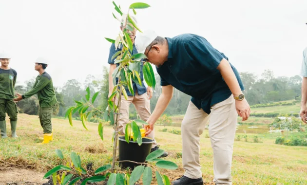 Perkuat Komitmen Lingkungan, Palmco Taman 50.000 Pohon Sepanjang 2026