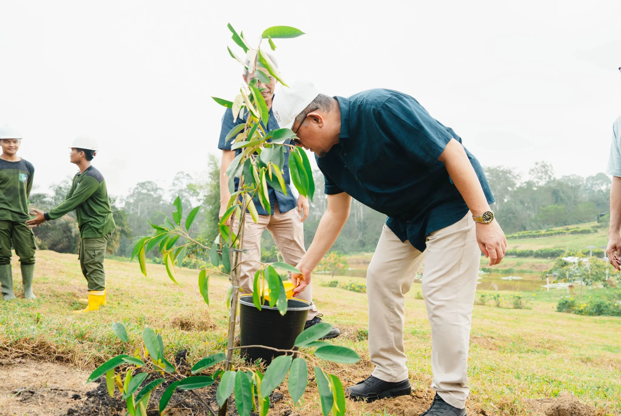 Perkuat Komitmen Lingkungan, Palmco Taman 50.000 Pohon Sepanjang 2026