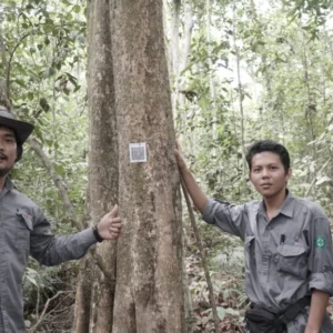 Perspektif Perempuan Jadi Kunci Utama dalam Liputan Lingkungan: Victoria Kosasieputri Buktikan 'Hutan Adalah Mama'
