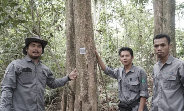Perspektif Perempuan Jadi Kunci Utama dalam Liputan Lingkungan: Victoria Kosasieputri Buktikan 'Hutan Adalah Mama'