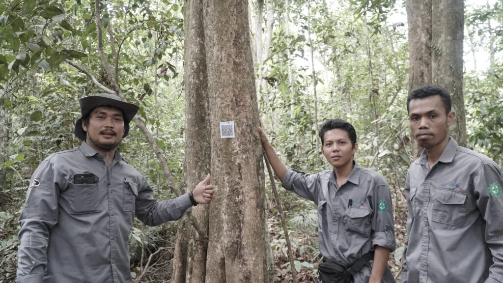 Perspektif Perempuan Jadi Kunci Utama dalam Liputan Lingkungan: Victoria Kosasieputri Buktikan 'Hutan Adalah Mama'