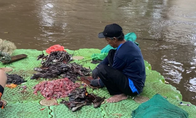 Petugas PPSU Temukan Enam Karung Ikan Sapu‑Sapu di Sekitar Mal Bundaran HI, Penanganan Massal Dipercepat Petugas PPSU Temukan Enam Karung Ikan Sapu‑Sapu di Sekitar Mal Bundaran HI, Penanganan Massal Dipercepat