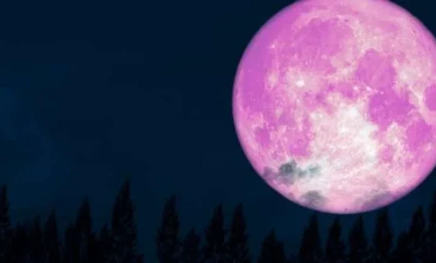 Pink Moon April 2026: Fenomena Langka yang Mengancam Warga Kalteng Gagal Menyaksikannya