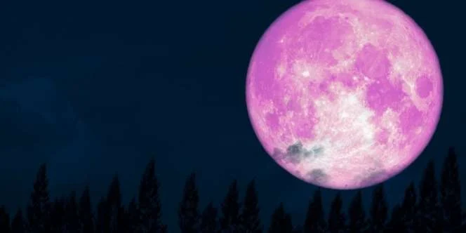 Pink Moon April 2026: Fenomena Langka yang Mengancam Warga Kalteng Gagal Menyaksikannya