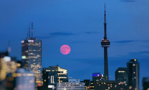 Pink Moon April 2026: Fenomena Menakjubkan, Bukan Ancaman bagi Kehidupan