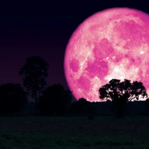 Pink Moon Malam Ini: Saksikan Keindahan Langit Indonesia Tanpa Teleskop!