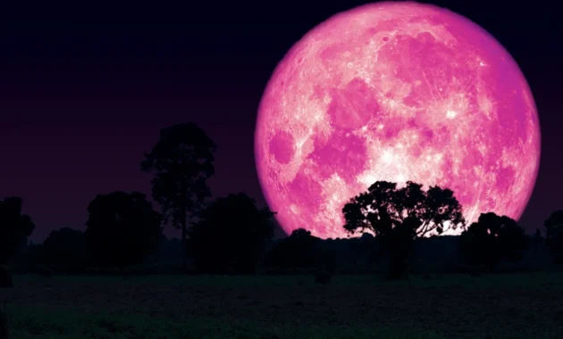 Pink Moon Malam Ini: Saksikan Keindahan Langit Indonesia Tanpa Teleskop!