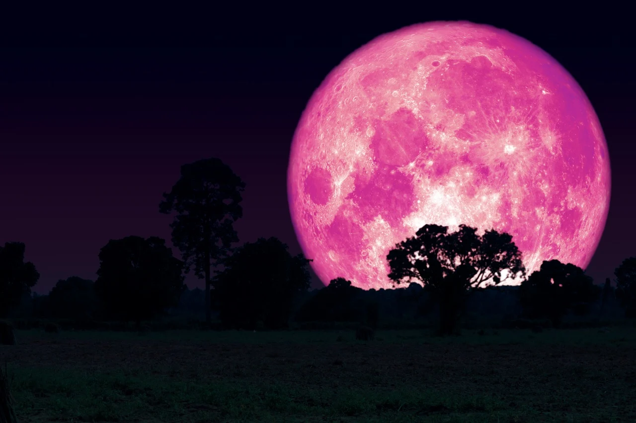 Pink Moon Malam Ini: Saksikan Keindahan Langit Indonesia Tanpa Teleskop!